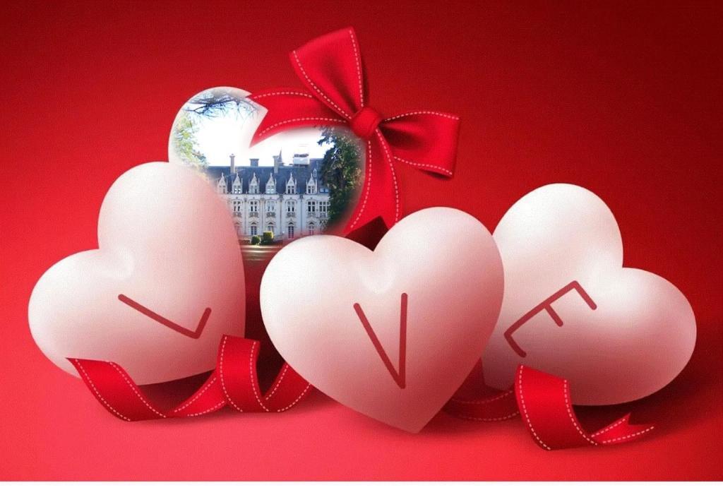 Charmant Studio Au Calme Tout Confort Dans Chateau Neo Gothique Proche Zenith Comet Orleans Parking Voiture Gratuit Wifi Haut Debit Rue Des Montees Ngoại thất bức ảnh